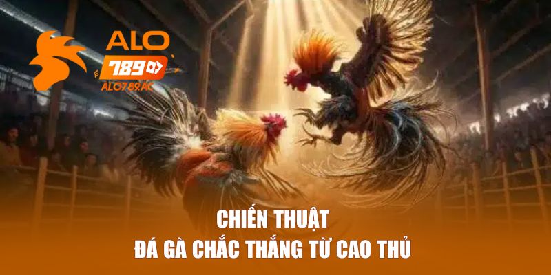Chiến Thuật Đá Gà Từ Cao Thủ